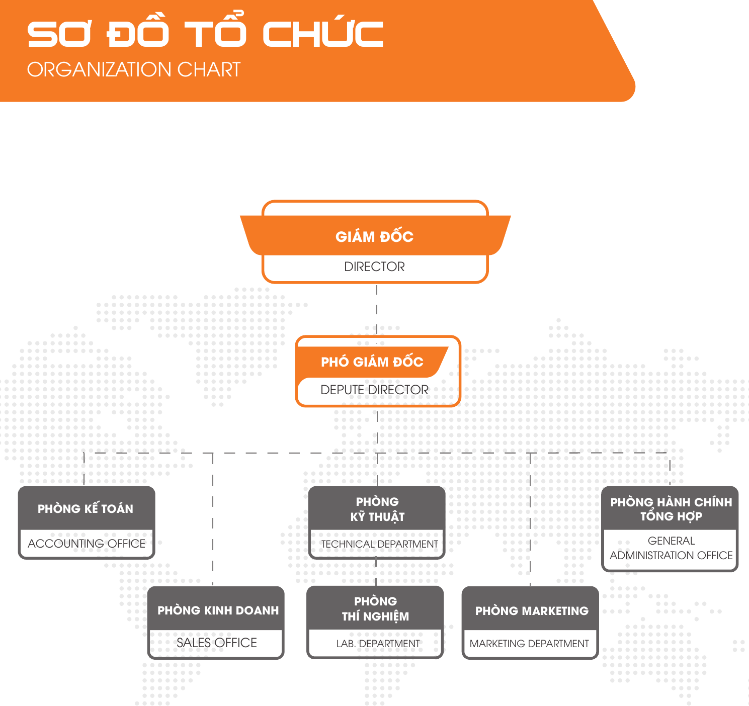 Sơ đồ tổ chức Tập đoàn Việt Nam - Singapore