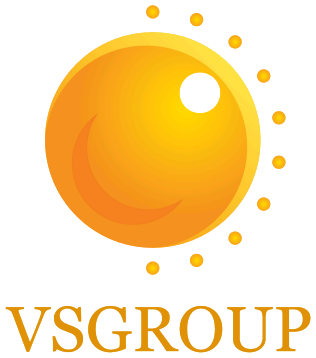CÔNG TY CỔ PHẦN TẬP ĐOÀN VIỆT NAM – SINGAPORE