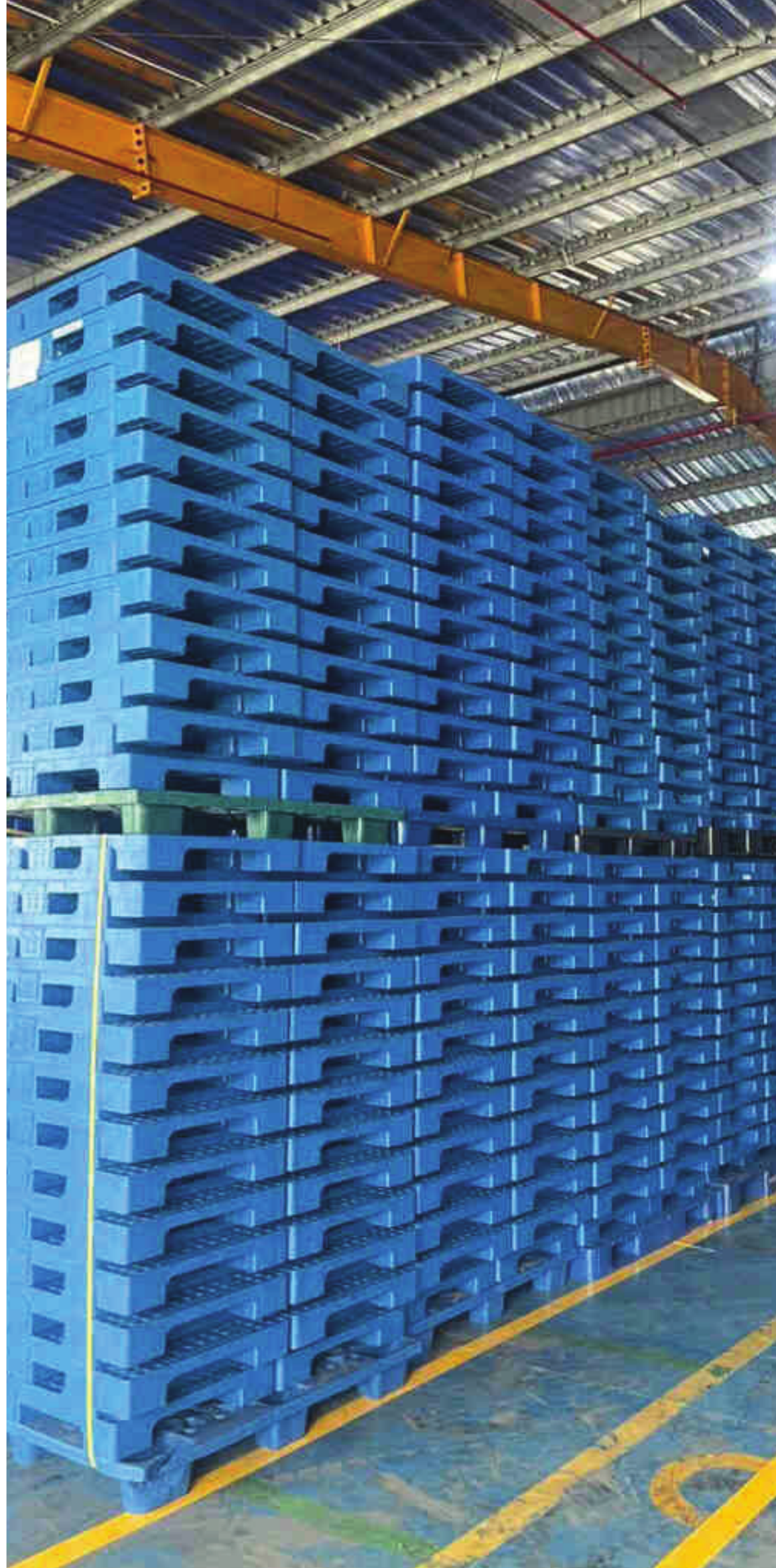 Quy trình lưu trữ và xuất hàng Pallet